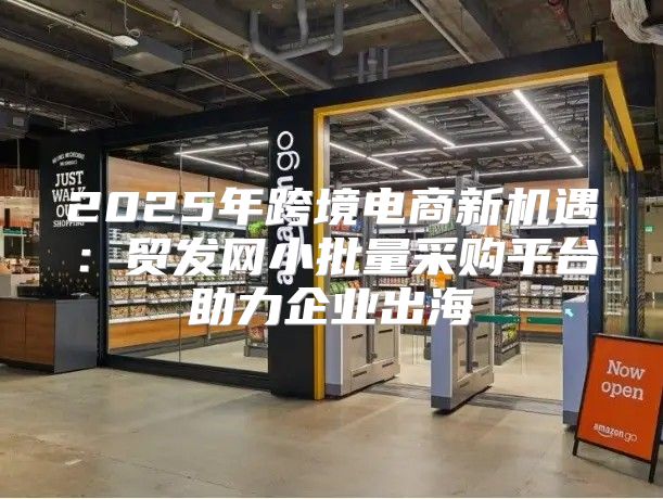 2025年跨境电商新机遇：贸发网小批量采购平台助力企业出海