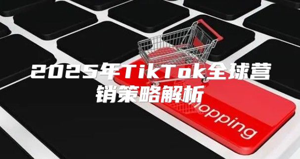 2025年TikTok全球营销策略解析