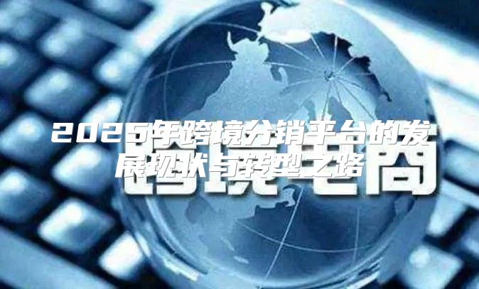 2025年跨境分销平台的发展现状与转型之路