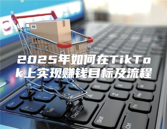 2025年如何在TikTok上实现赚钱目标及流程