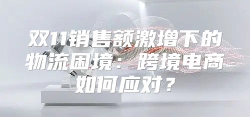 双11销售额激增下的物流困境：跨境电商如何应对？