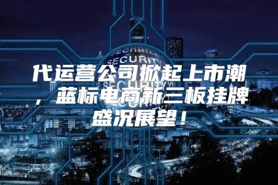 代运营公司掀起上市潮，蓝标电商新三板挂牌盛况展望！
