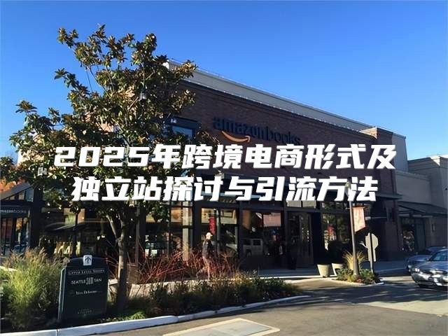 2025年跨境电商形式及独立站探讨与引流方法