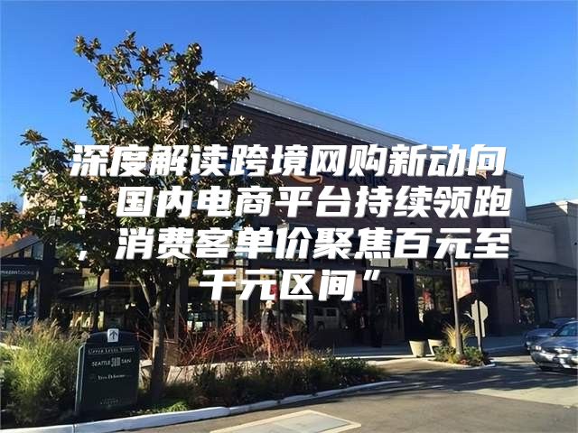 深度解读跨境网购新动向：国内电商平台持续领跑，消费客单价聚焦百元至千元区间”