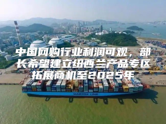 中国网购行业利润可观，部长希望建立纽西兰产品专区拓展商机至2025年