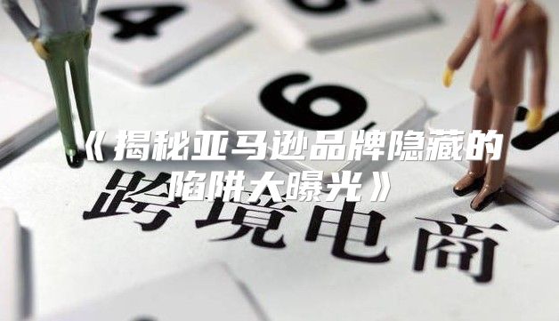 揭秘亚马逊品牌隐藏的陷阱大曝光