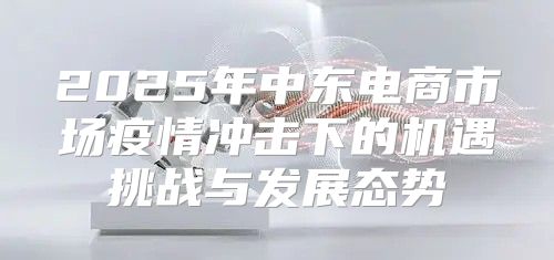 2025年中东电商市场疫情冲击下的机遇挑战与发展态势