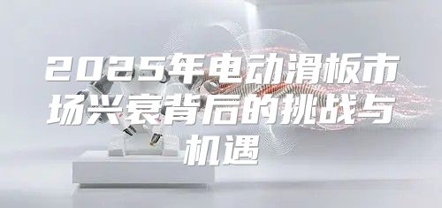 2025年电动滑板市场兴衰背后的挑战与机遇