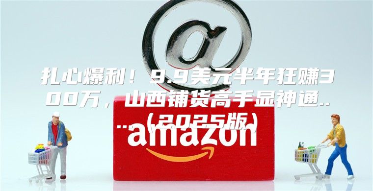 扎心爆利！9.9美元半年狂赚300万，山西铺货高手显神通.....2025版