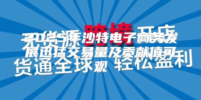2025年沙特电子商务发展迅猛交易量及贡献值可观