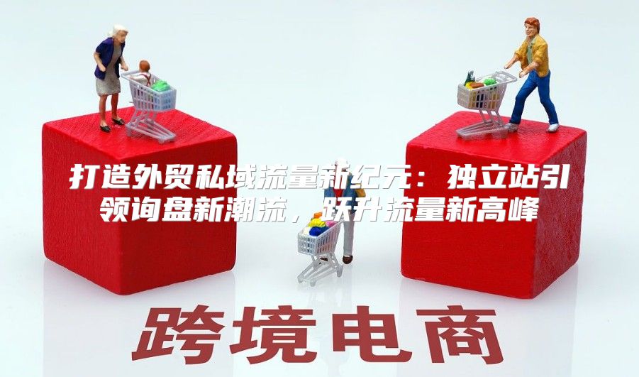 打造外贸私域流量新纪元：独立站引领询盘新潮流，跃升流量新高峰
