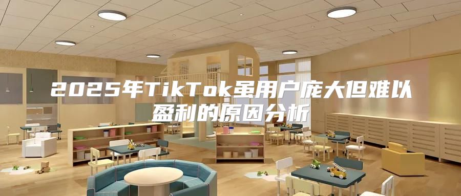 2025年TikTok虽用户庞大但难以盈利的原因分析