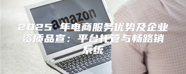 2025 年电商服务优势及企业资质品宣：平台托管与畅路销系统