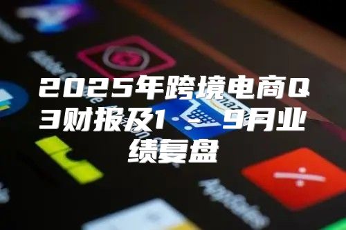 2025年跨境电商Q3财报及1 - 9月业绩复盘