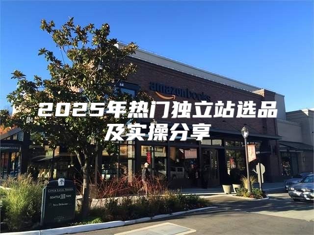 2025年热门独立站选品及实操分享