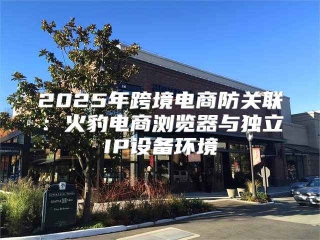 2025年跨境电商防关联：火豹电商浏览器与独立IP设备环境