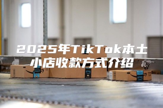 2025年TikTok本土小店收款方式介绍