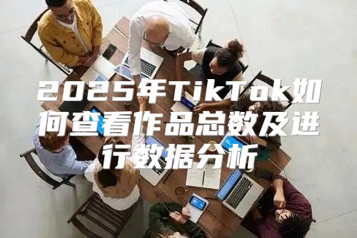 2025年TikTok如何查看作品总数及进行数据分析