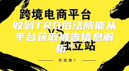 收到TRO后法院能从平台获取被告信息解析”