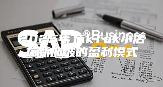 2025年TikTok小店在新加坡的盈利模式