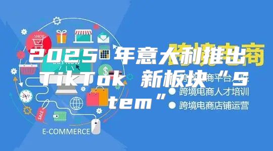 2025 年意大利推出 TikTok 新板块“Stem”