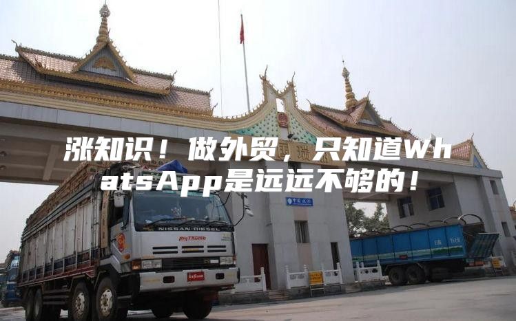 涨知识！做外贸，只知道WhatsApp是远远不够的！