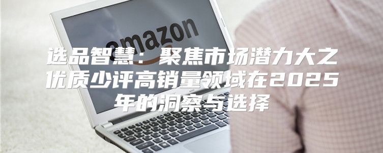 选品智慧：聚焦市场潜力大之优质少评高销量领域在2025年的洞察与选择