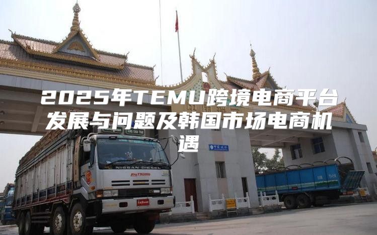 2025年TEMU跨境电商平台发展与问题及韩国市场电商机遇