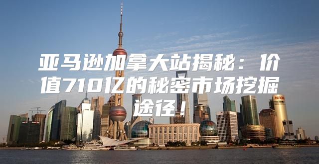 亚马逊加拿大站揭秘：价值710亿的秘密市场挖掘途径！