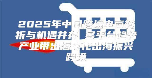 2025年中国跨境电商转折与机遇并存 多平台趋势产业带出海文化出海振兴跨境