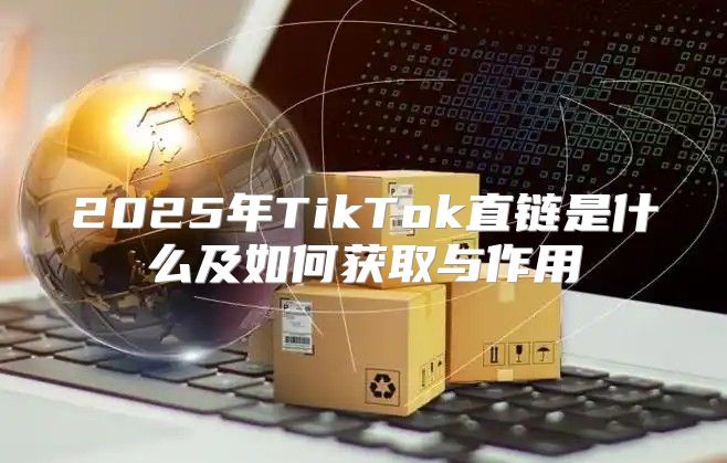 2025年TikTok直链是什么及如何获取与作用