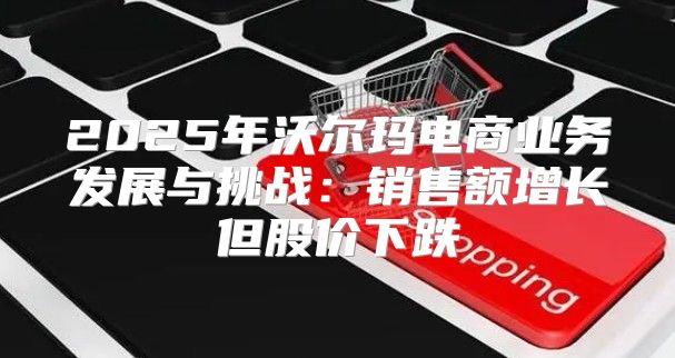 2025年沃尔玛电商业务发展与挑战：销售额增长但股价下跌
