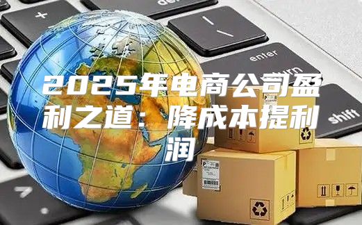 2025年电商公司盈利之道：降成本提利润