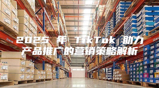 2025 年 TikTok 助力产品推广的营销策略解析