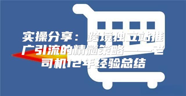 实操分享：跨境独立站推广引流的精髓策略——老司机12年经验总结