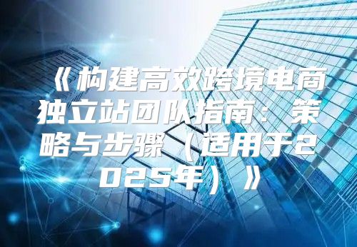 构建高效跨境电商独立站团队指南：策略与步骤适用于2025年
