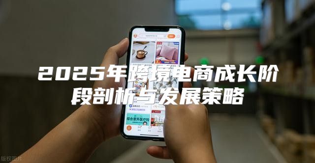 2025年跨境电商成长阶段剖析与发展策略