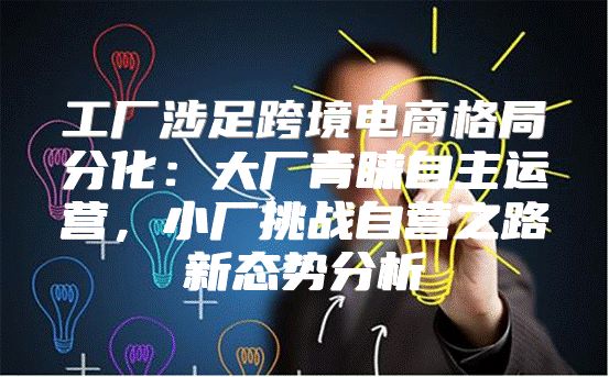 工厂涉足跨境电商格局分化：大厂青睐自主运营，小厂挑战自营之路新态势分析