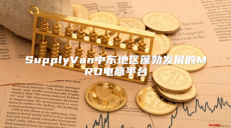 SupplyVan中东地区蓬勃发展的MRO电商平台