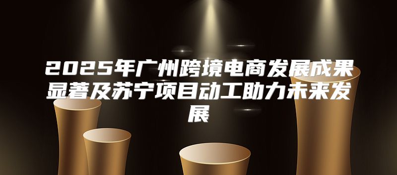 2025年广州跨境电商发展成果显著及苏宁项目动工助力未来发展