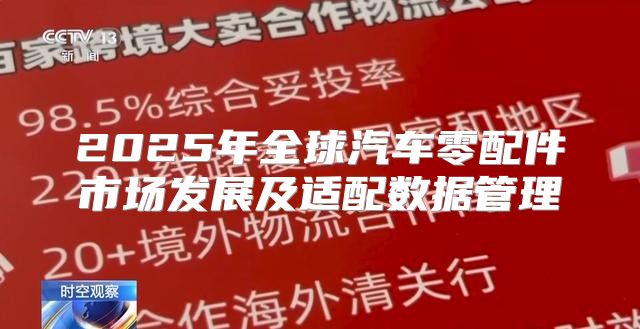2025年全球汽车零配件市场发展及适配数据管理
