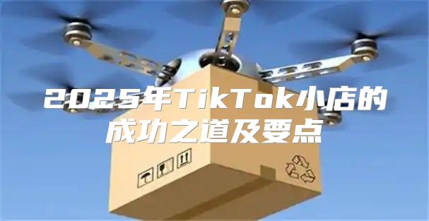 2025年TikTok小店的成功之道及要点
