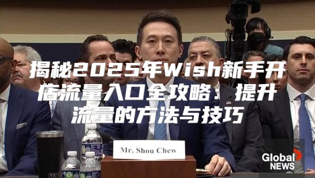 揭秘2025年Wish新手开店流量入口全攻略：提升流量的方法与技巧