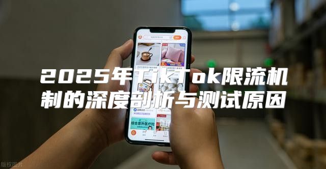 2025年TikTok限流机制的深度剖析与测试原因
