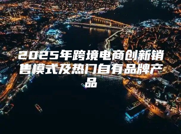 2025年跨境电商创新销售模式及热门自有品牌产品