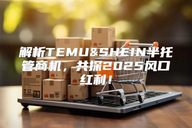 解析TEMU&SHEIN半托管商机，共探2025风口红利！