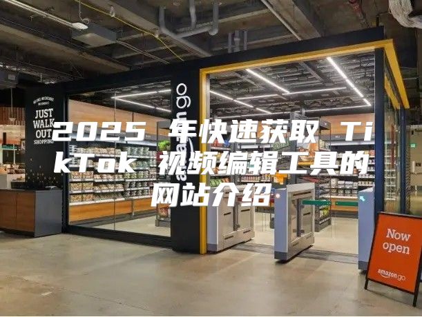 2025 年快速获取 TikTok 视频编辑工具的网站介绍