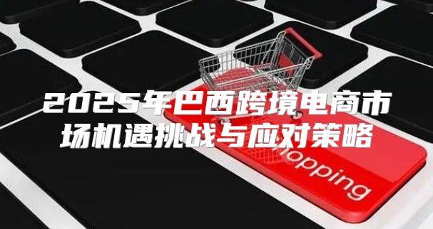 2025年巴西跨境电商市场机遇挑战与应对策略