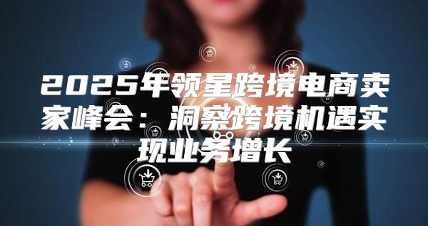 2025年领星跨境电商卖家峰会：洞察跨境机遇实现业务增长