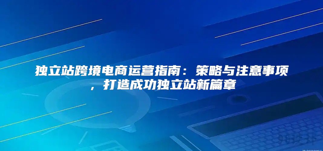 独立站跨境电商运营指南：策略与注意事项，打造成功独立站新篇章
